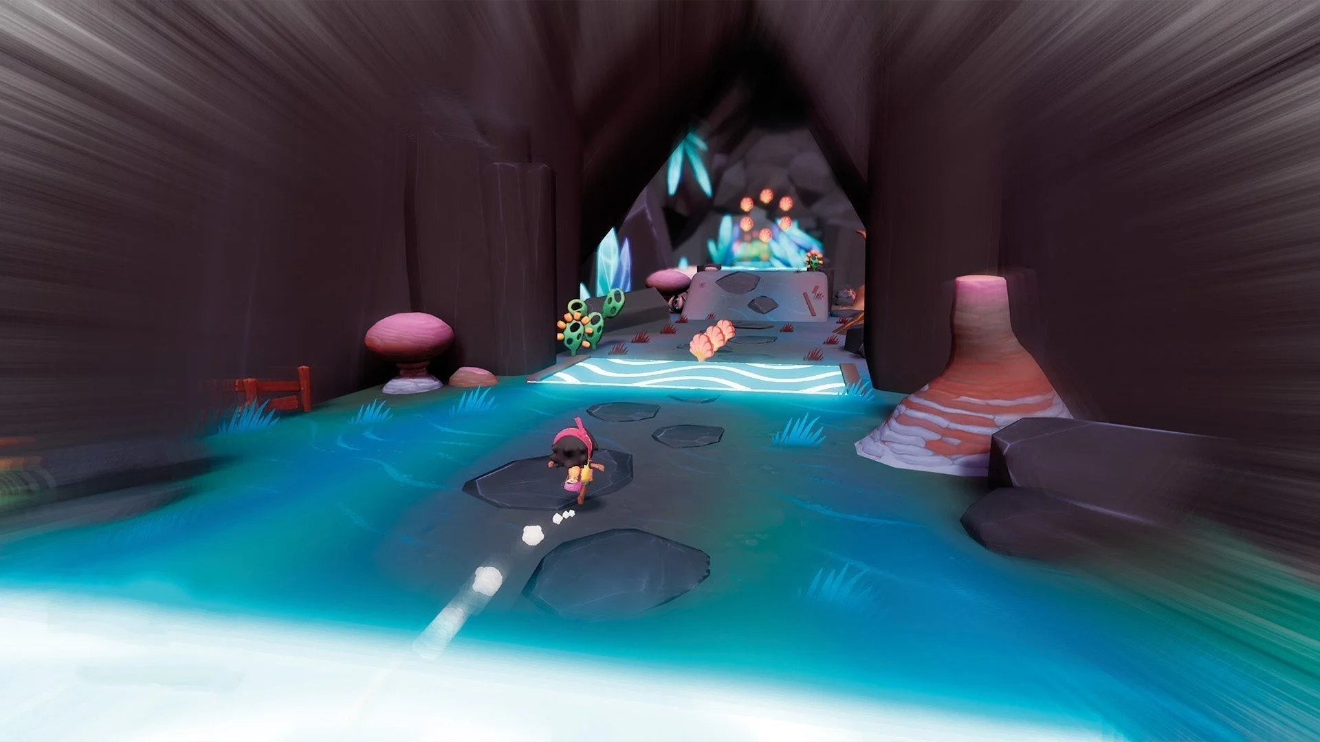 Koa and the five pirates of Mara collector's edition Nintendo switch - Image 8