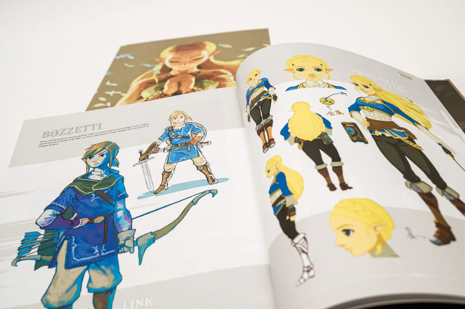 The Lengend Of Zelda: Breath Of The Wild, La Guida Strategica Ufficiale – Comprende Espansioni - In Italiano - Image 5